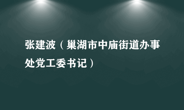 张建波（巢湖市中庙街道办事处党工委书记）