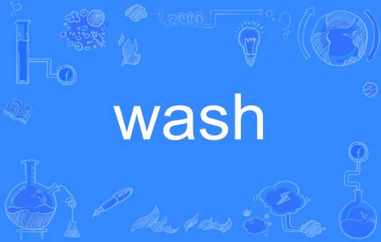 wash（英语单词）