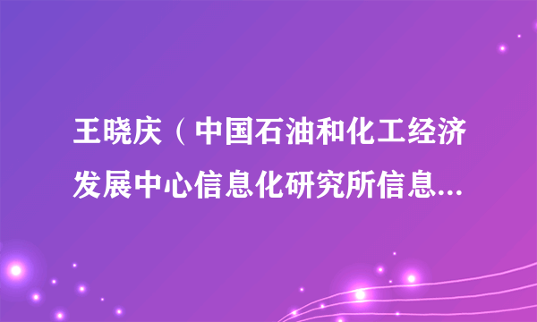 王晓庆（中国石油和化工经济发展中心信息化研究所信息化专家委员会委员）