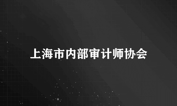 上海市内部审计师协会