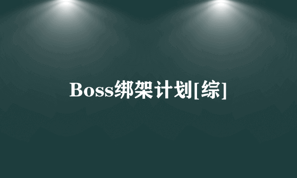 Boss绑架计划[综]