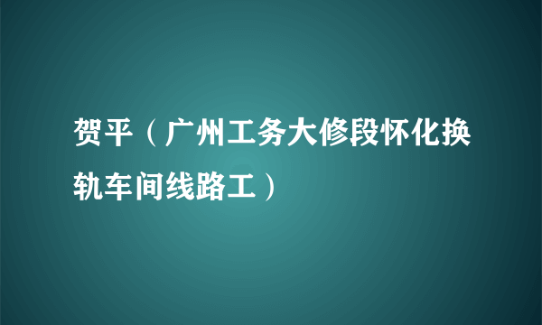 贺平（广州工务大修段怀化换轨车间线路工）