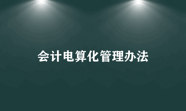 会计电算化管理办法