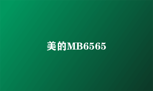 美的MB6565