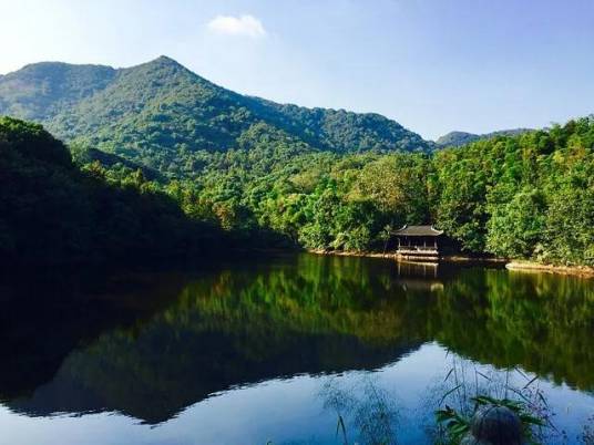 重庆云龙山国家森林公园