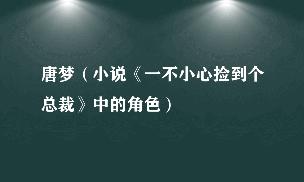 唐梦（小说《一不小心捡到个总裁》中的角色）