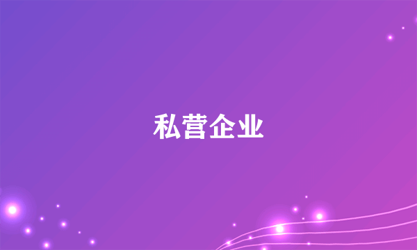 私营企业