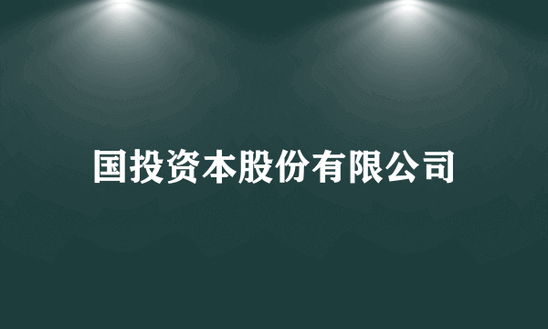 国投资本股份有限公司