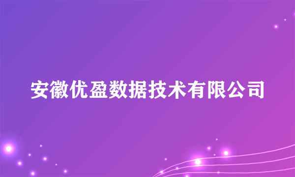 安徽优盈数据技术有限公司