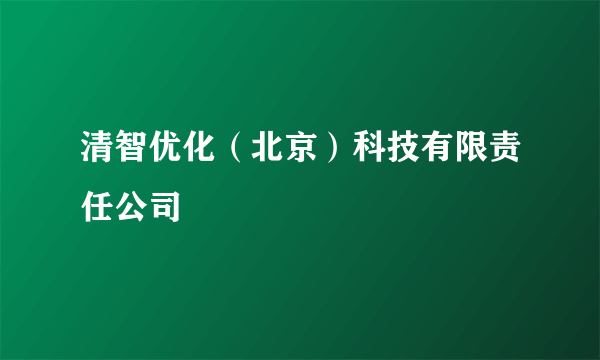 清智优化（北京）科技有限责任公司