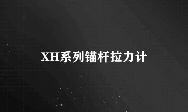 XH系列锚杆拉力计