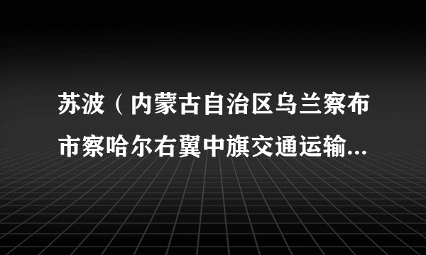 苏波（内蒙古自治区乌兰察布市察哈尔右翼中旗交通运输局党总支书记、局长）