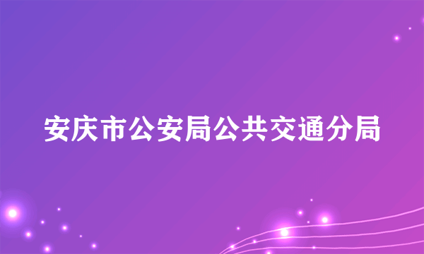 安庆市公安局公共交通分局