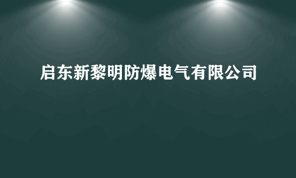 启东新黎明防爆电气有限公司