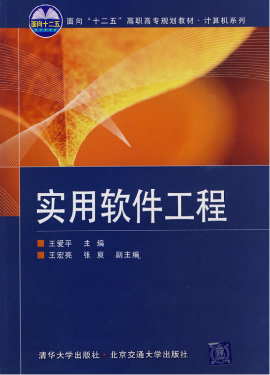 实用软件工程（2009年清华大学出版社出版的图书）