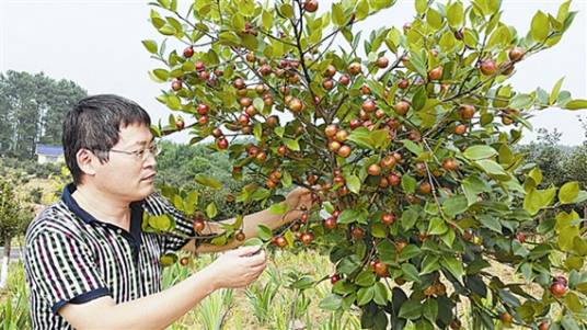 阮成江（大连民族大学环境与资源学院院长）