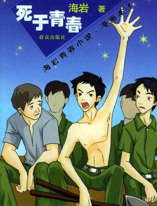 海岩青春小说，漫画本子