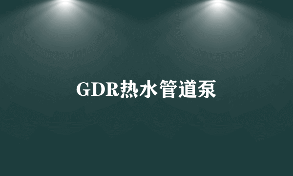 GDR热水管道泵