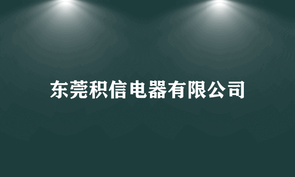 东莞积信电器有限公司