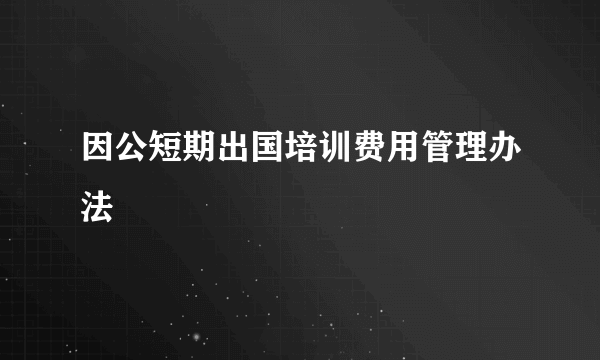 因公短期出国培训费用管理办法