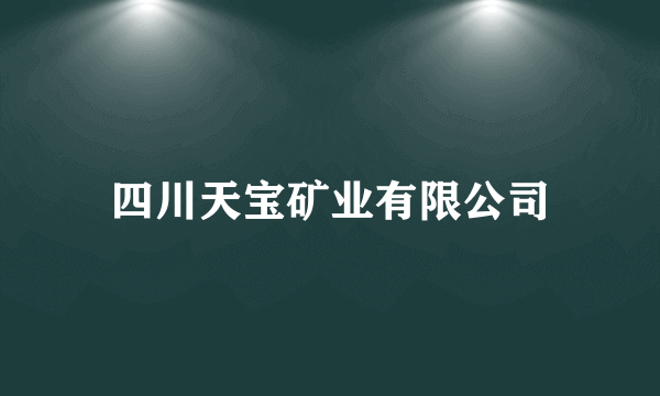 四川天宝矿业有限公司