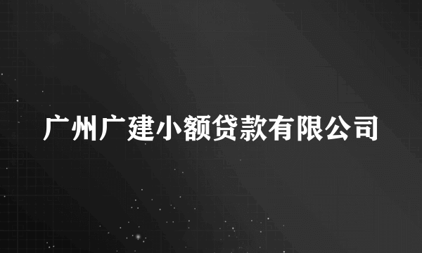 广州广建小额贷款有限公司