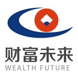 深圳前海未来财富互联网金融服务有限公司