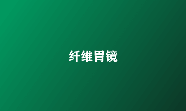 纤维胃镜