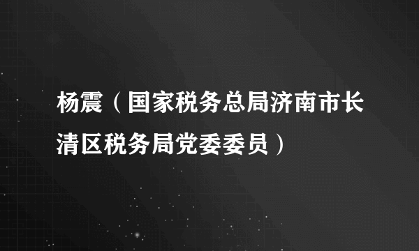 杨震（国家税务总局济南市长清区税务局党委委员）