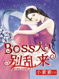 BOSS大人别乱来