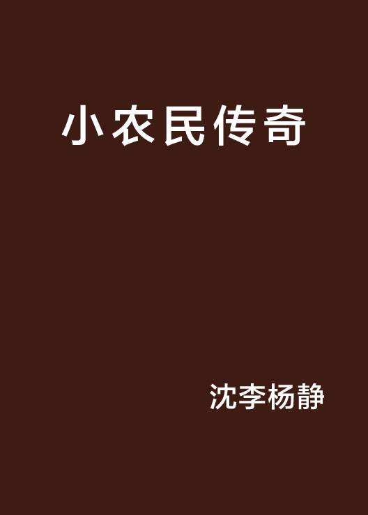 小农民传奇