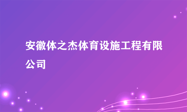 安徽体之杰体育设施工程有限公司