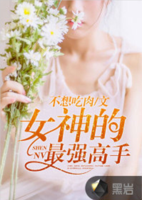 女神的最强高手（不想吃肉创作的社会类网络小说）