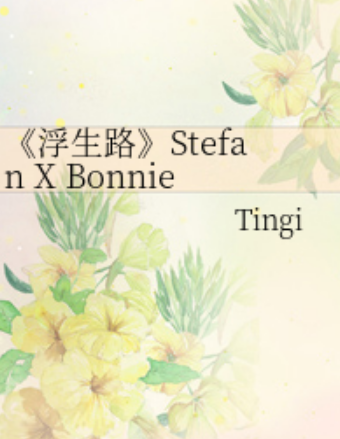 《浮生路》Stefan X Bonnie