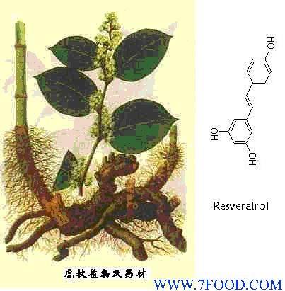 反式白藜芦醇