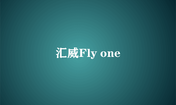 汇威Fly one