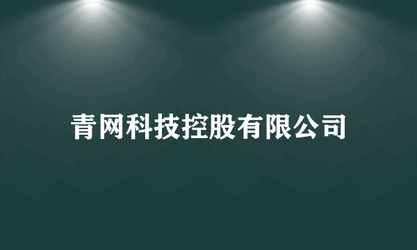 青网科技控股有限公司