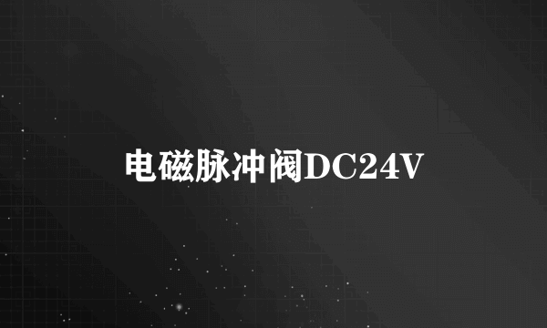 电磁脉冲阀DC24V