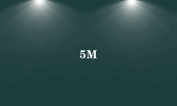 5M