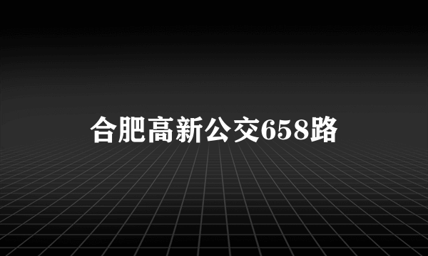 合肥高新公交658路