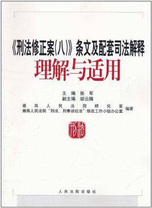 《刑法修正案（八）》条文及配套司法解释理解与适用