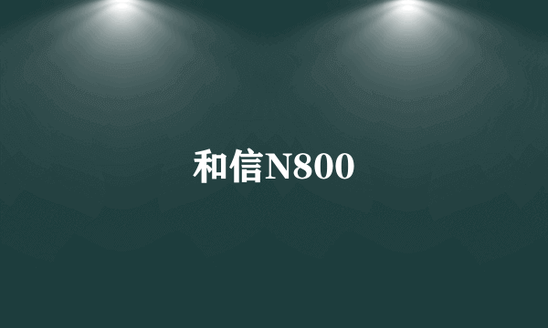 和信N800