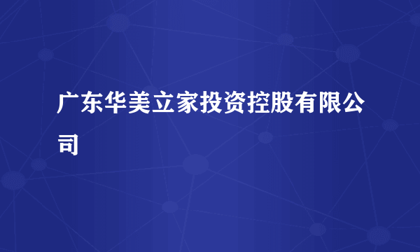 广东华美立家投资控股有限公司