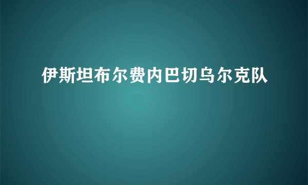 伊斯坦布尔费内巴切乌尔克队