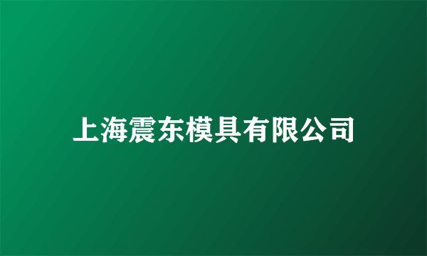 上海震东模具有限公司