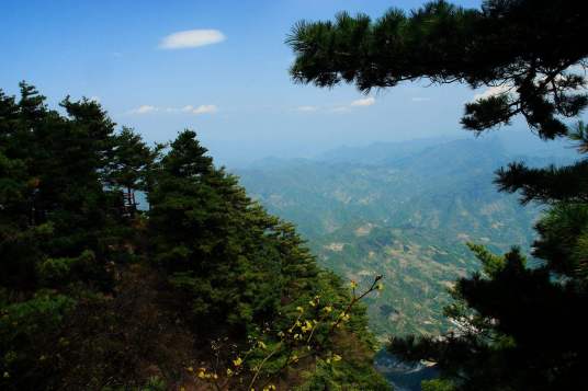 天竺山林场