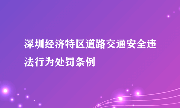 深圳经济特区道路交通安全违法行为处罚条例