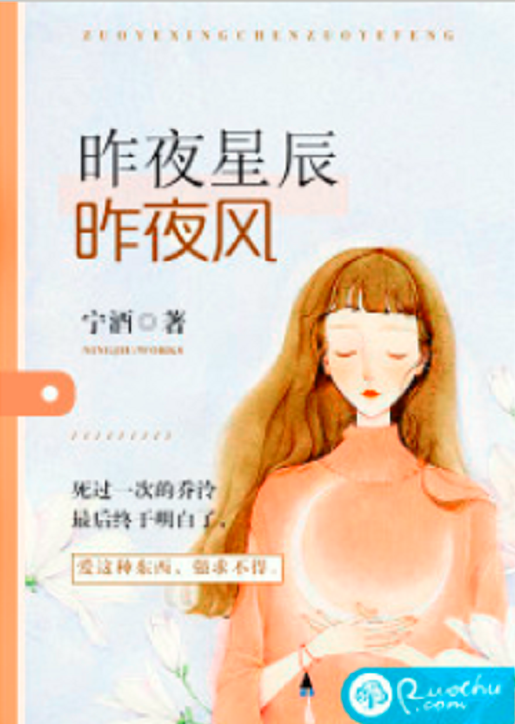 昨夜星辰昨夜风（宁酒创作的婚恋类网络小说）