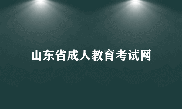 山东省成人教育考试网