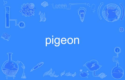 pigeon